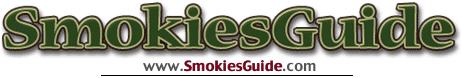 Great Smokies Guide to Gatlinburg & Pigeon Forge, Tennessee Rental Cabins & Chalets, Smoky Mtns National Park, Fishing, Hiking, With Lots of Photos!