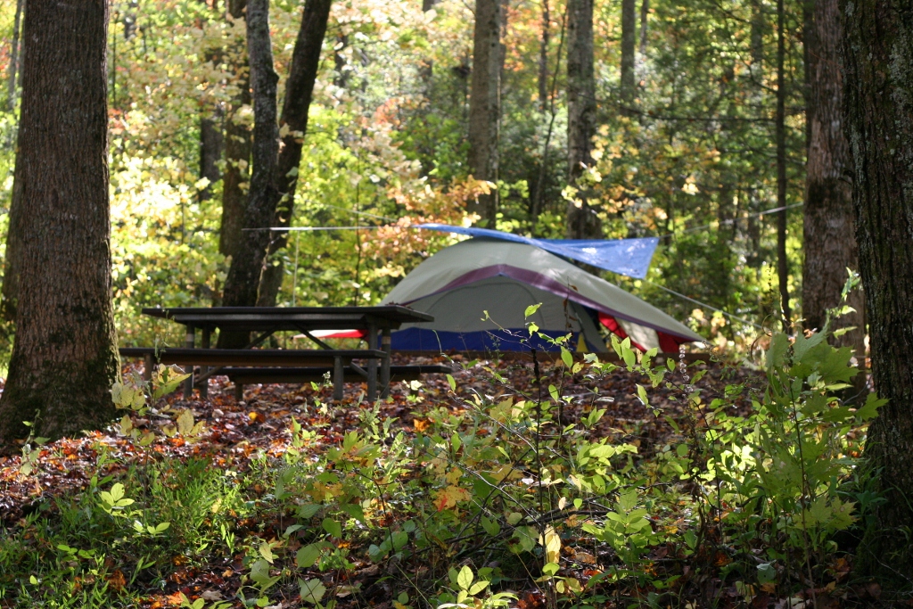 Camping Smokies Guide