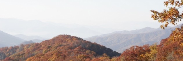 Fall Foliage