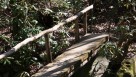 Kephart Prong Trail