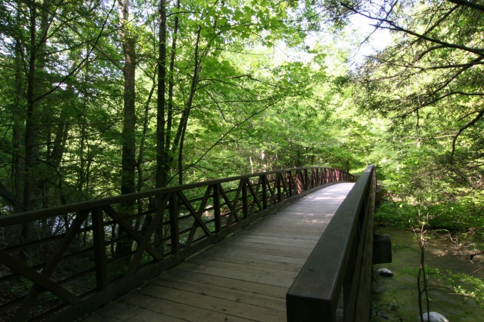 Gatlinburg Trail