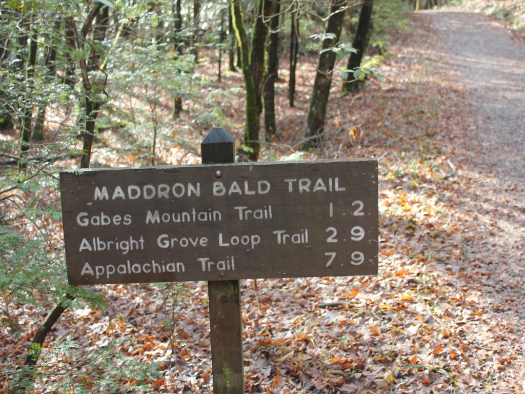 Albright Grove Loop Trail