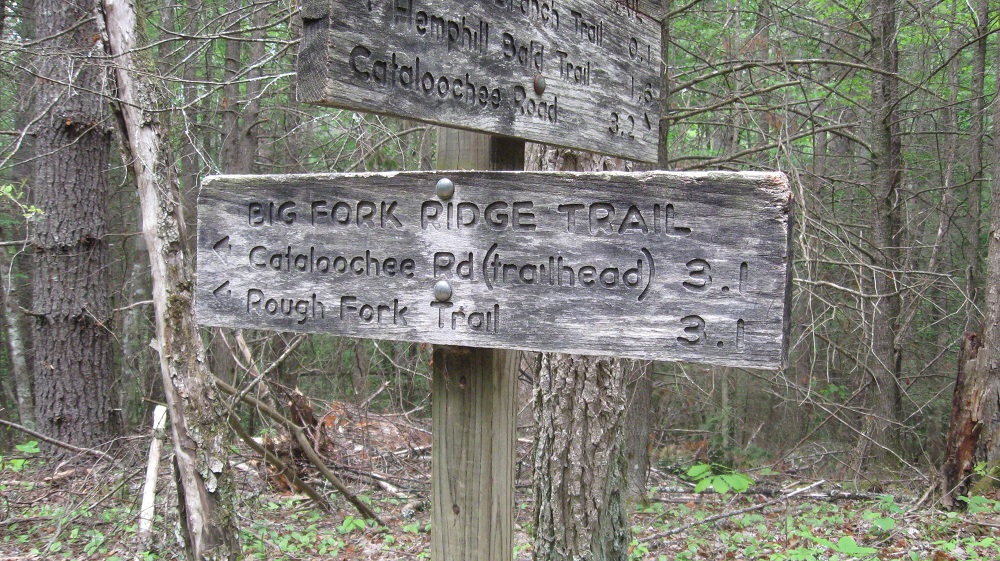 Big Fork Ridge Trail