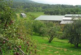 Carver's Orchard Produce and Apples