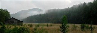 Cataloochee Valley