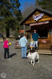 Cooper Creek Trout Farm