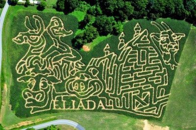 Eliada's Corn Maze