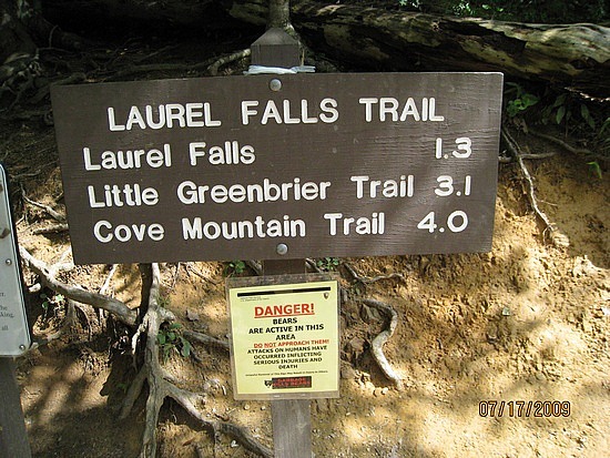 Laurel Falls Trail