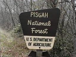 Pisgah National Forest