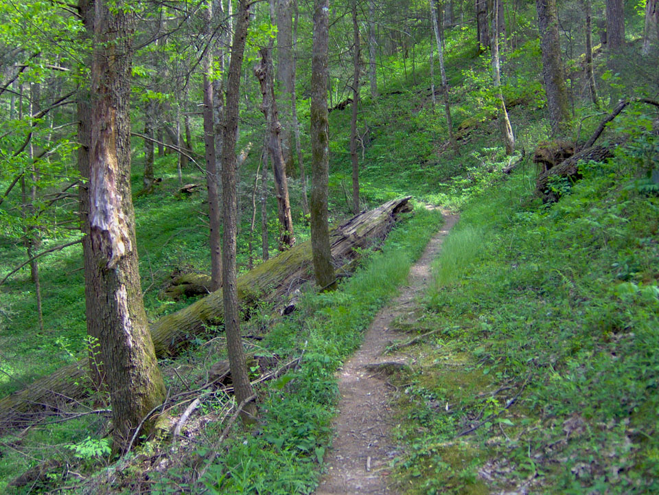 Gabes Mountain Trail