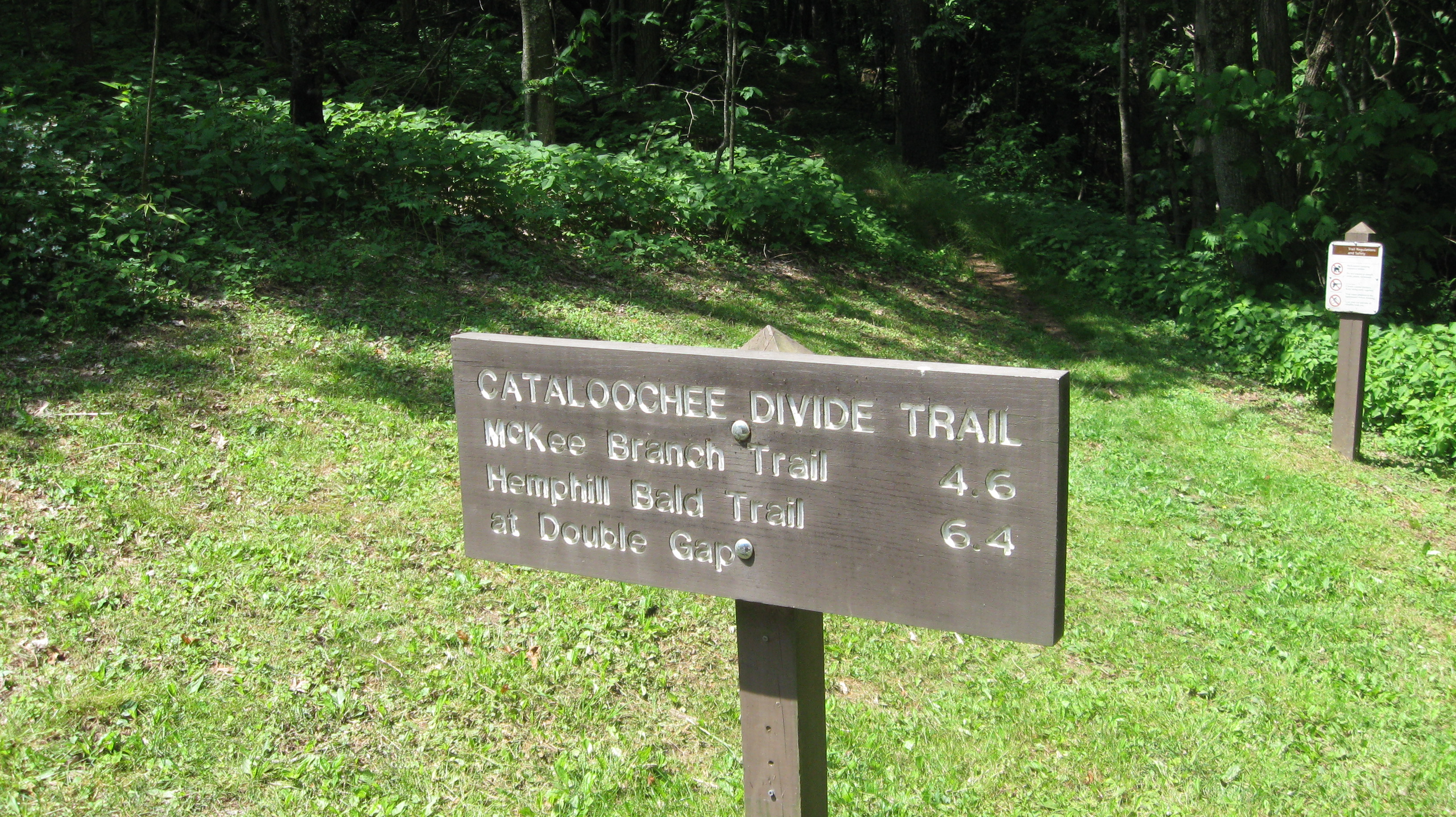 Cataloochee Divide Trail