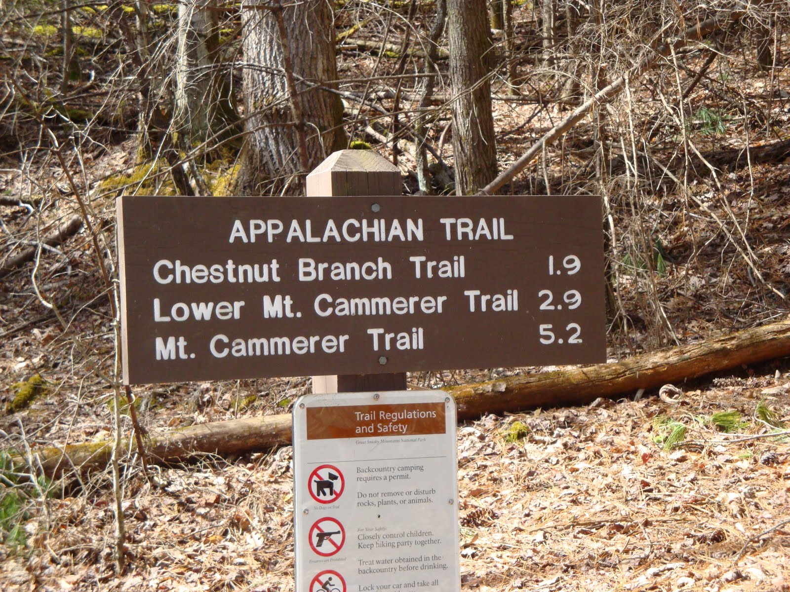 Chestnut Branch Trail