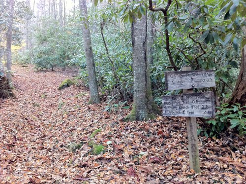 Cabin Flats Trail