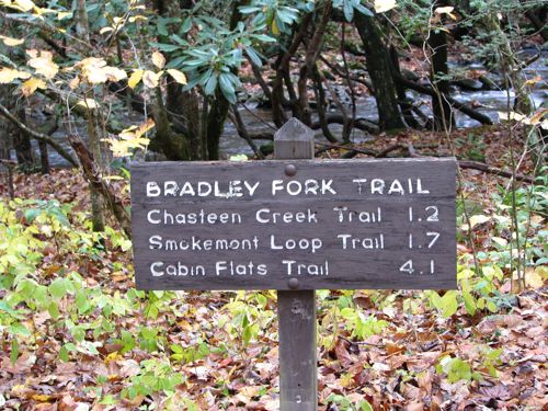 Bradley Fork Trail