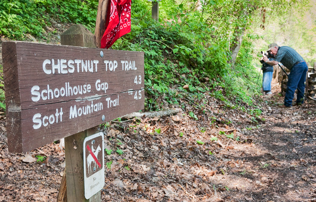 Chestnut Top Trail