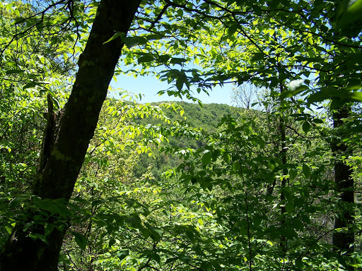 Greenbrier Ridge Trail