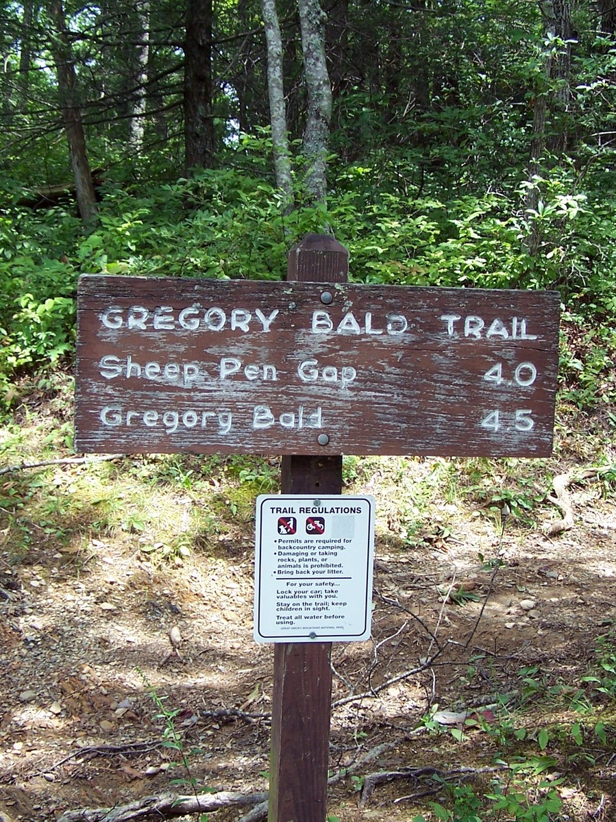 Gregory Bald Trail