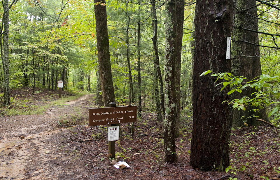 Gold Mine Trail