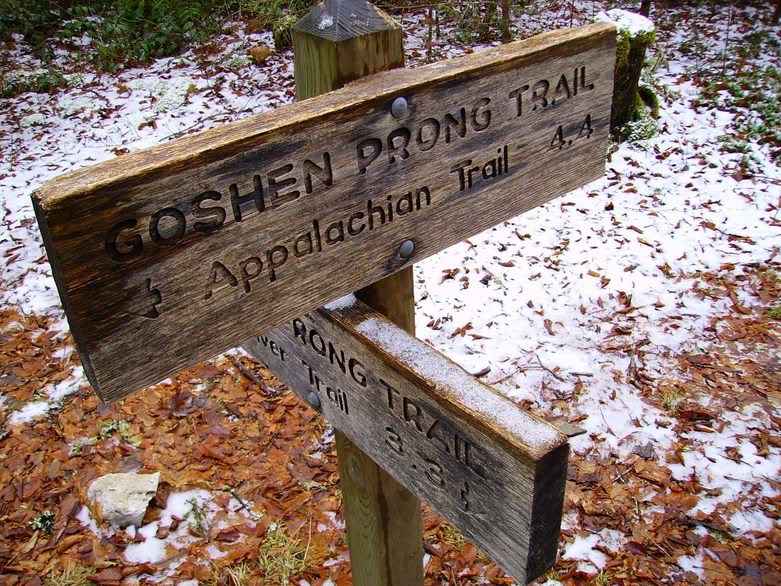 Goshen Prong Trail