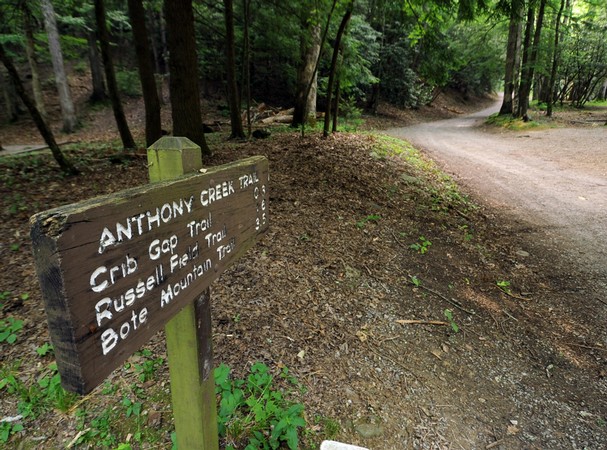 Anthony Creek Trail