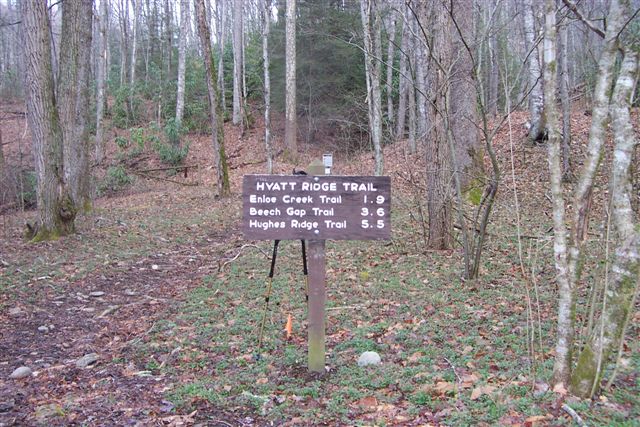 Enloe Creek Trail