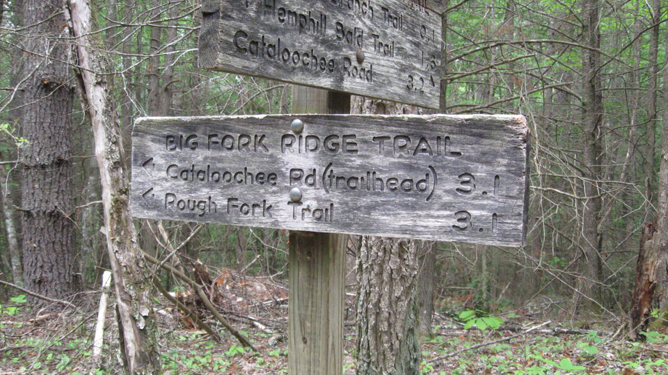 Fork Ridge Trail