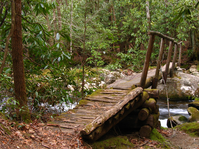 Jonas Creek Trail
