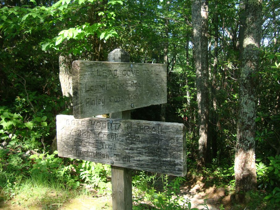 Lead Cove Trail